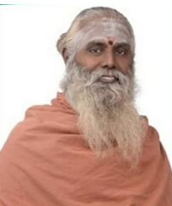  மருதாசல அடிகளார்